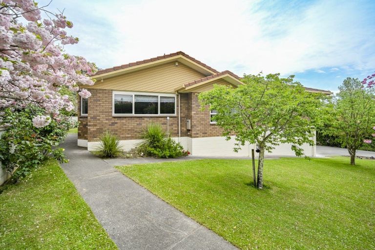 Photo of property in 36 Kopanga Road, Havelock North, 4130