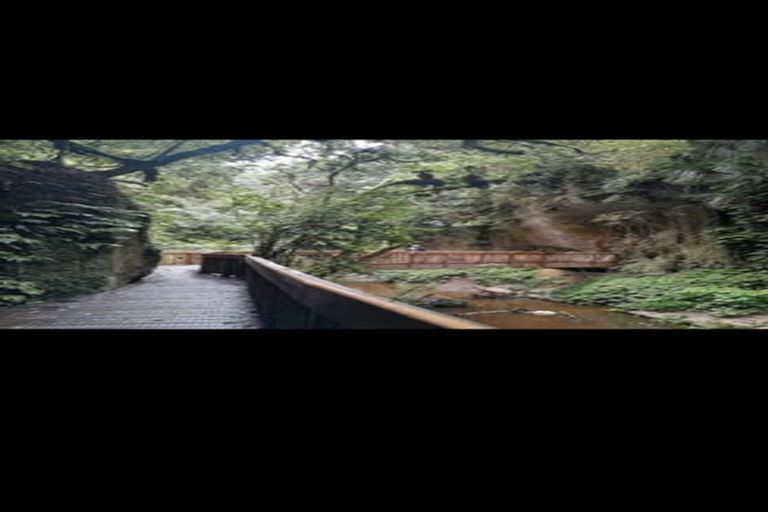 Photo of property in 5 Marokopa Road, Te Anga, Te Kuiti, 3988