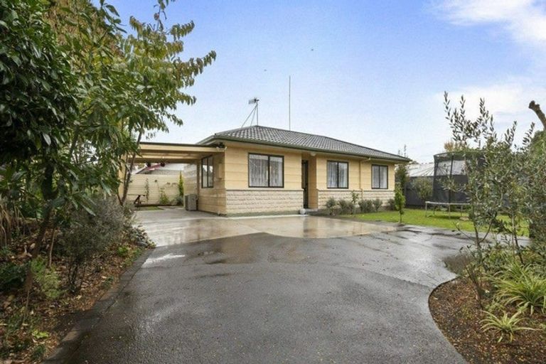 Photo of property in 26a Limbrick Street, Terrace End, Palmerston North, 4410