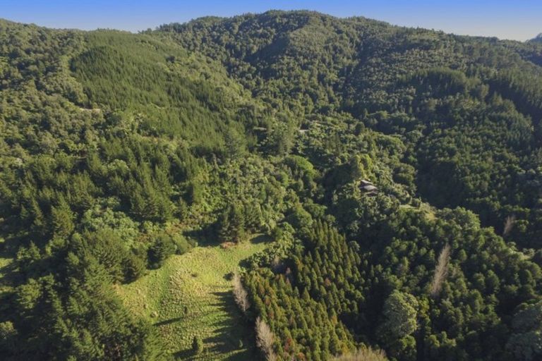 Photo of property in 77 Grammer Road, Tahawai, Katikati, 3170