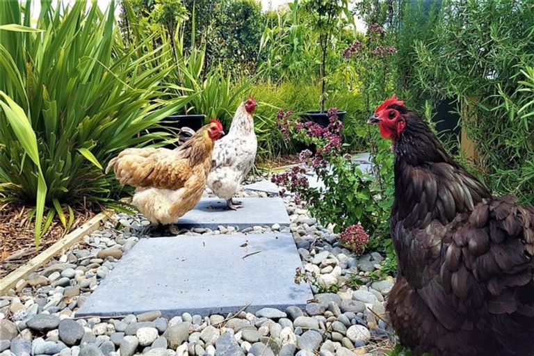 Photo of property in 29 Kawaupaka Road, Kaukapakapa, Helensville, 0875