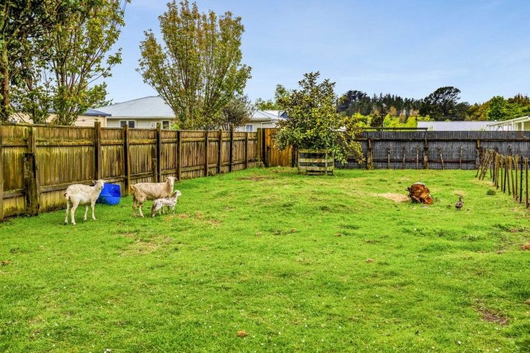 Photo of property in 43 Maire Street, Inglewood, 4330