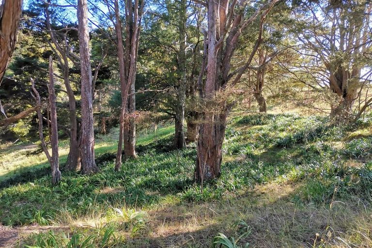 Photo of property in 356 Te Tio Road, Umawera, Okaihau, 0476