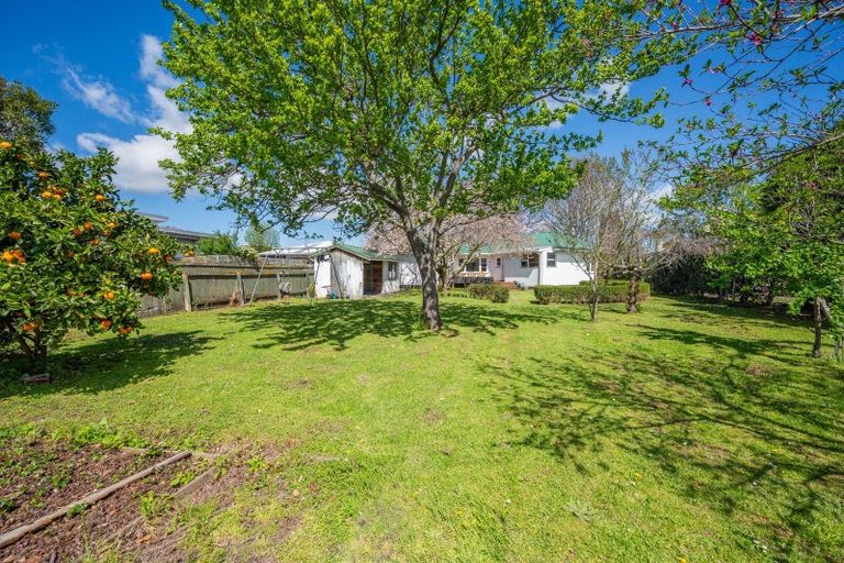 Photo of property in 1001 Rata Street, Mahora, Hastings, 4120