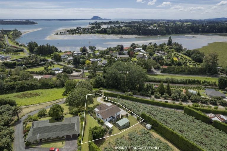 Photo of property in 221 Plummers Point Road, Whakamarama, Tauranga, 3172