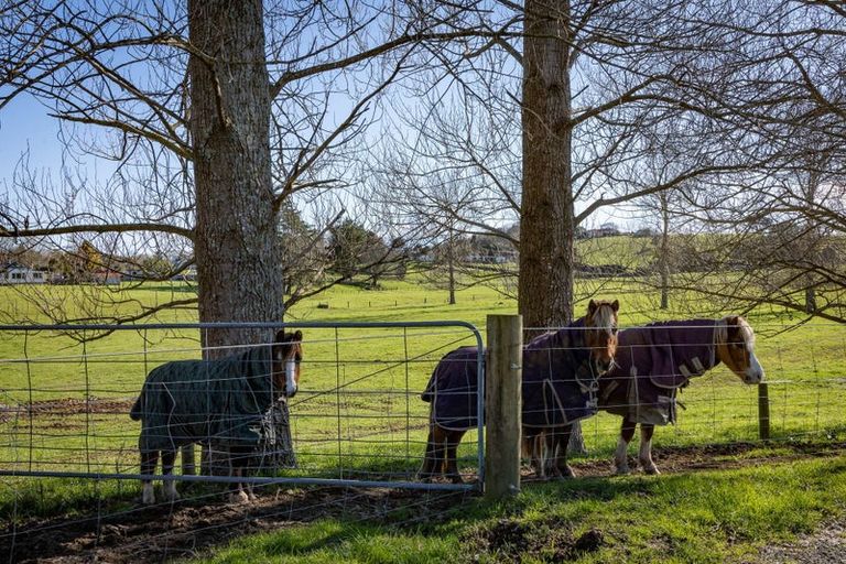 Photo of property in 6 King Edward Street, Eltham, 4322