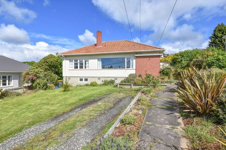 Photo of property in 115 Chapman Street, Wakari, Dunedin, 9010