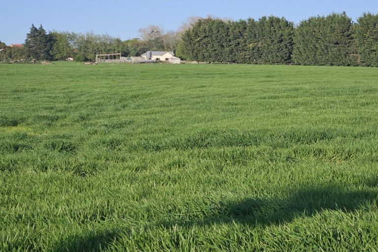 Photo of property in 1a College Street, Oamaru North, Oamaru, 9400