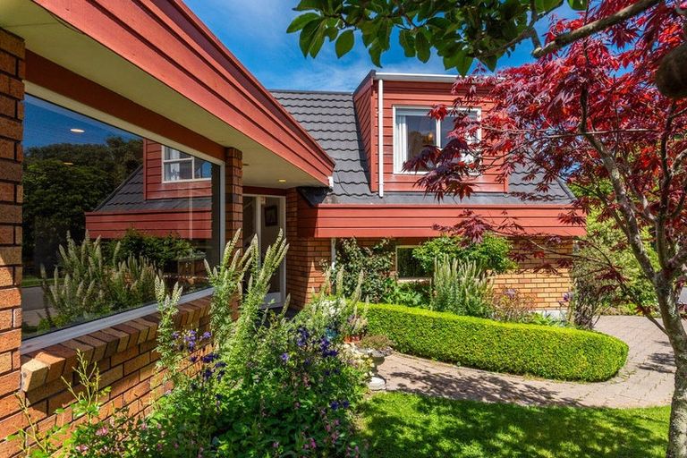 Photo of property in 43 Ngarara Road, Waikanae, 5036