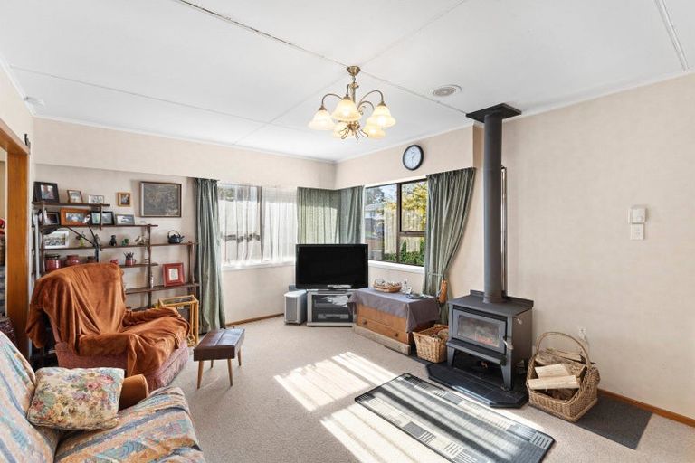 Photo of property in 21 Elizabeth Place, Ferndale, New Plymouth, 4310