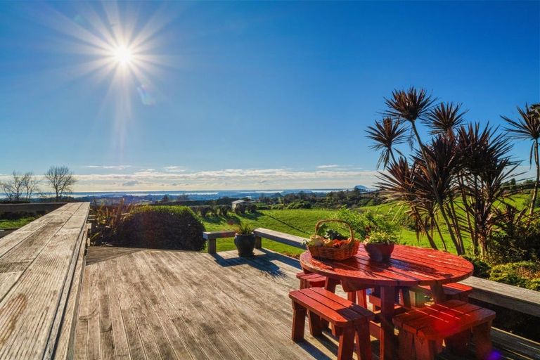 Photo of property in 533 Wainui Road South, Whakamarama, Tauranga, 3180