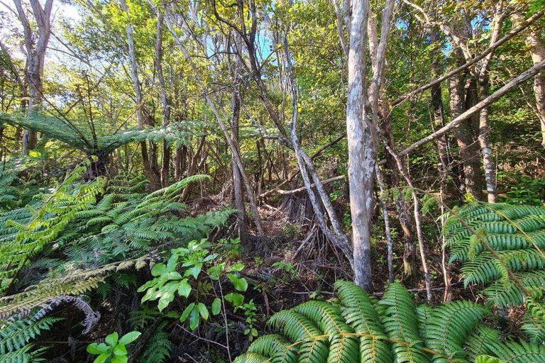 Photo of property in 624 Wyuna Bay Road, Wyuna Bay, Coromandel, 3581