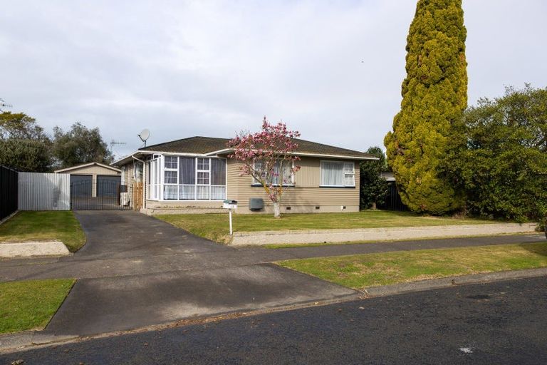 Photo of property in 43 Bill Hercock Street, Pirimai, Napier, 4112