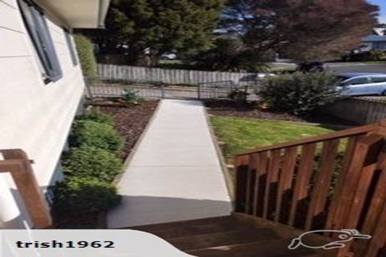 Photo of property in 55 Awaiti Place, Hairini, Tauranga, 3112