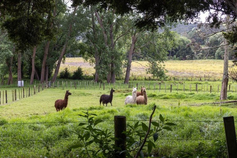 Photo of property in 1174 Kahikatea Flat Road, Waitoki, Kaukapakapa, 0871