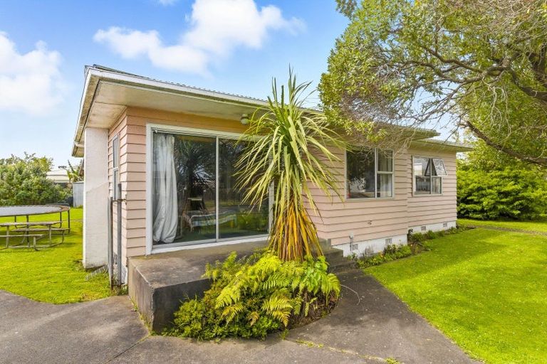 Photo of property in 15 Ross Street, Levin, 5510