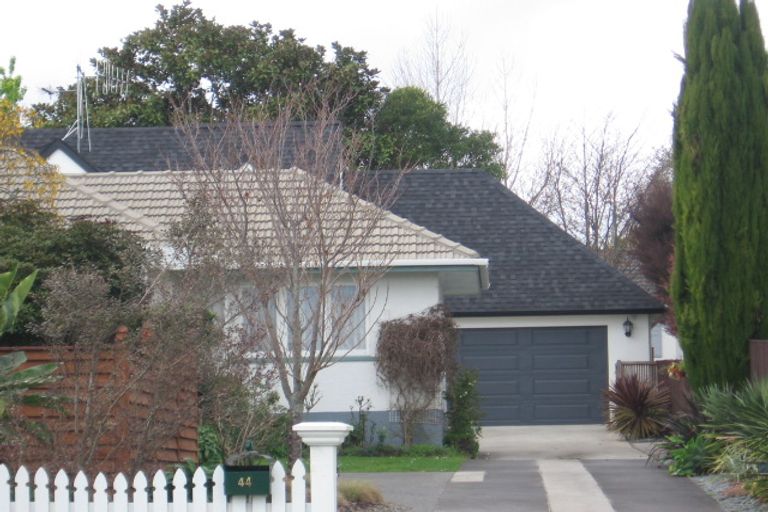 Photo of property in 44b Grange Road, Otumoetai, Tauranga, 3110