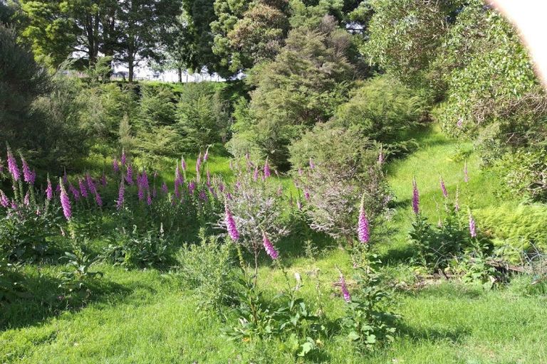 Photo of property in 375 Hot Springs Road, Tahawai, Katikati, 3178