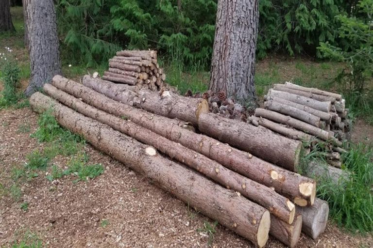 Photo of property in 12 Railway Street, Fairlie, 7925