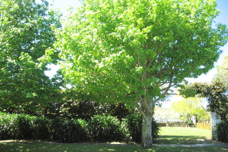 Photo of property in 14 Williams Street, Kaitaia, 0410