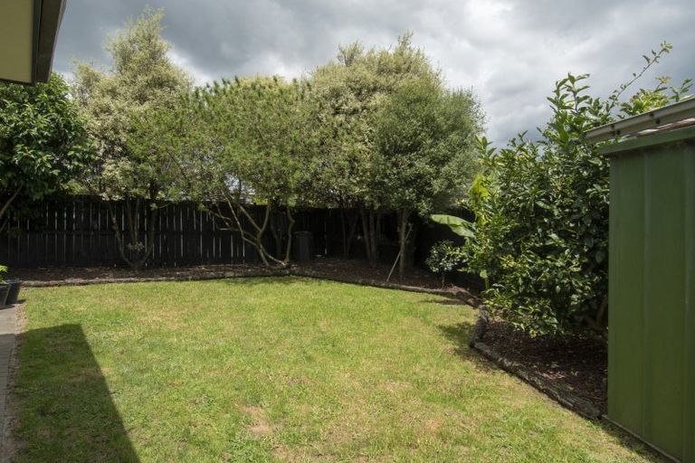 Photo of property in 63 Solomon Street, Brookfield, Tauranga, 3110