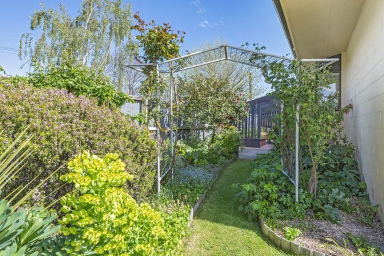 Photo of property in 29 Pultney Street, Leeston, 7632