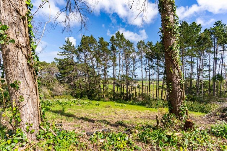 Photo of property in 5a Pirika Street, Dargaville, 0310