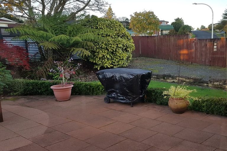 Photo of property in 41 Glamis Avenue, Dinsdale, Hamilton, 3204