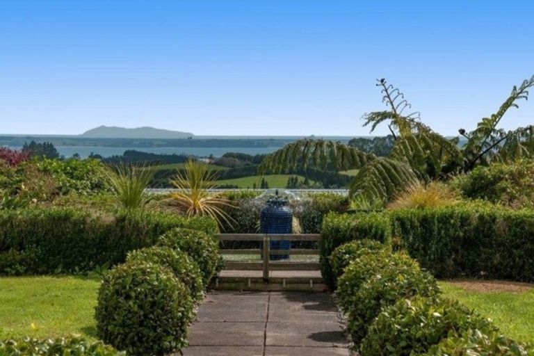 Photo of property in 294 Ross Road, Whakamarama, Tauranga, 3179