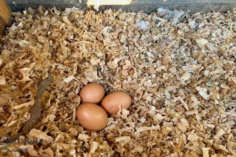 Photo of property in 33 Hiwarau Road, Kutarere, Opotiki, 3198