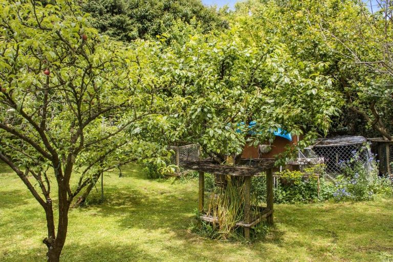 Photo of property in 10 Richmal Street, Waihi, 3610