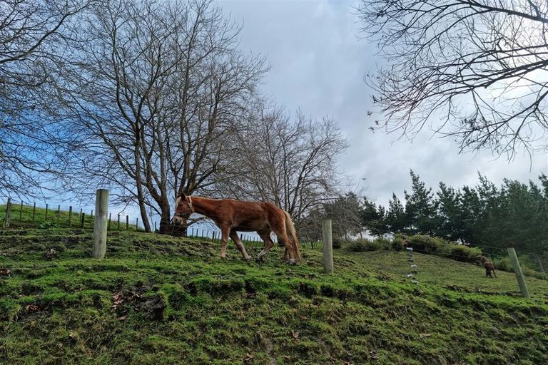 Photo of property in 219 Brunswick Road, Brunswick, Whanganui, 4571