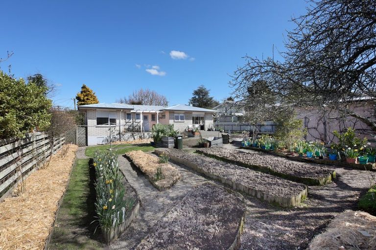 Photo of property in 17 Pirinoa Street, Feilding, 4702