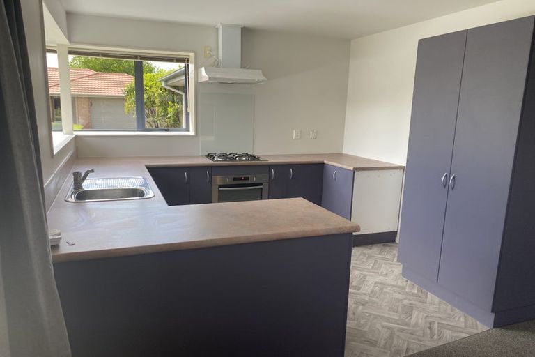 Photo of property in 17 Rubicon Place, Hei Hei, Christchurch, 8042