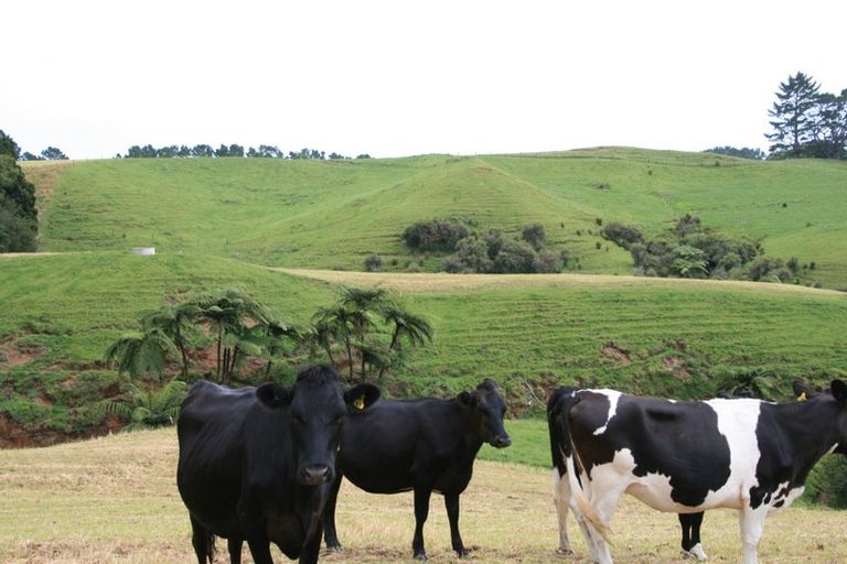 Photo of property in 862 Mountain Road, Waiongana, Inglewood, 4389