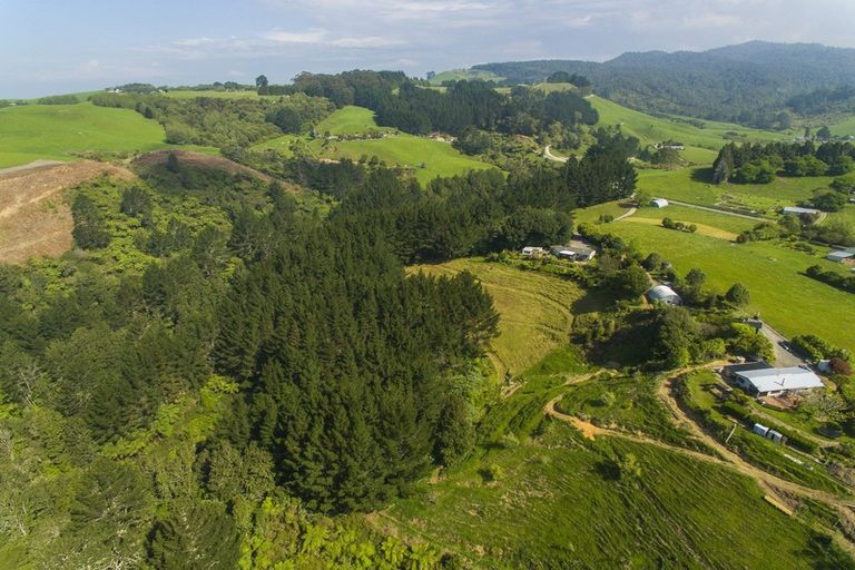 Photo of property in 467 Rocky Cutting Road, Waitao, Tauranga, 3175