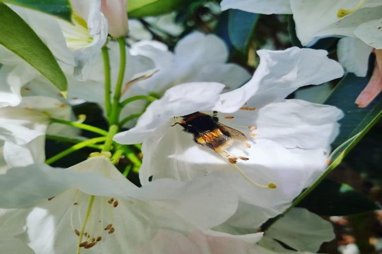 Photo of property in 4003 State Highway 4, Ongarue, 3997