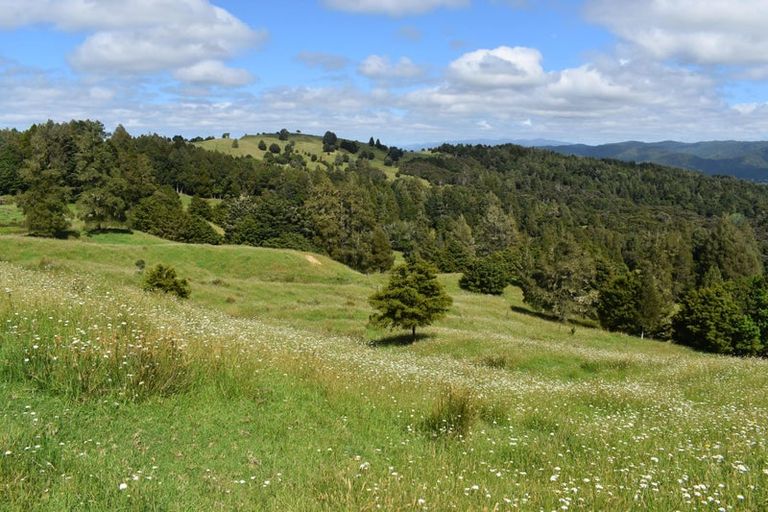Photo of property in 63 Donaldson Road, Okaihau, 0475