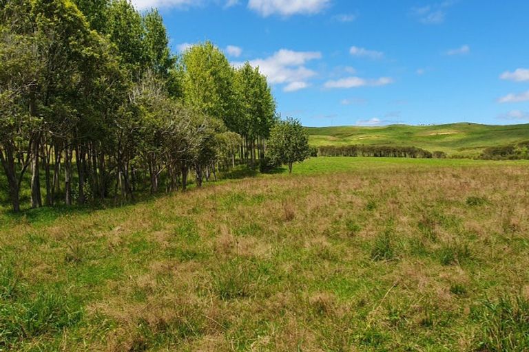 Photo of property in 237 Hewlett Road, Mata, Whangarei, 0171