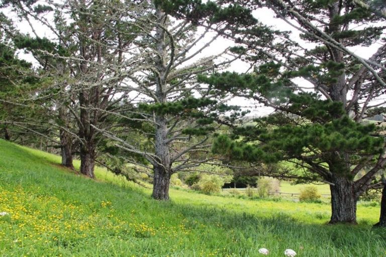 Photo of property in 1720 Ponga Road, Hunua, Papakura, 2584