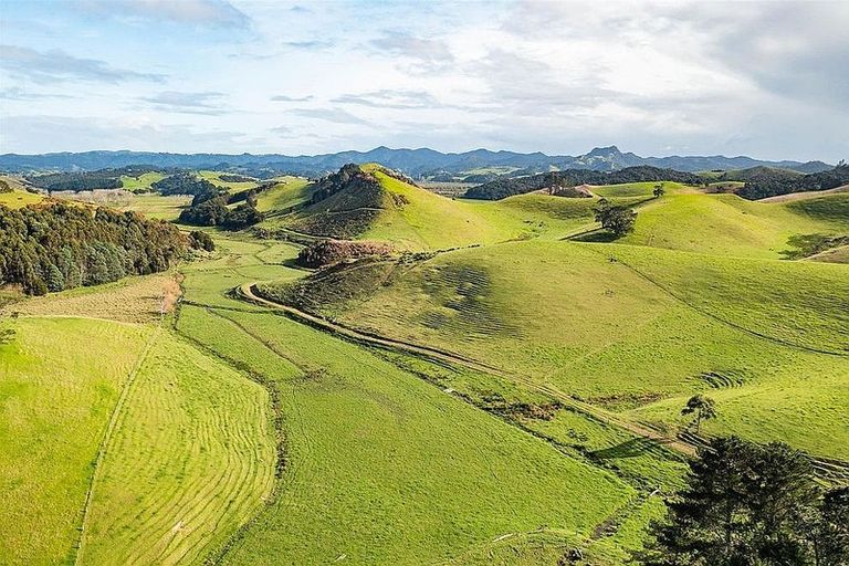 Photo of property in 533 Pataua South Road, Pataua South, Onerahi, 0192