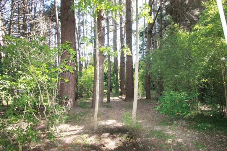 Photo of property in 175 Brunswick Road, Brunswick, Whanganui, 4571