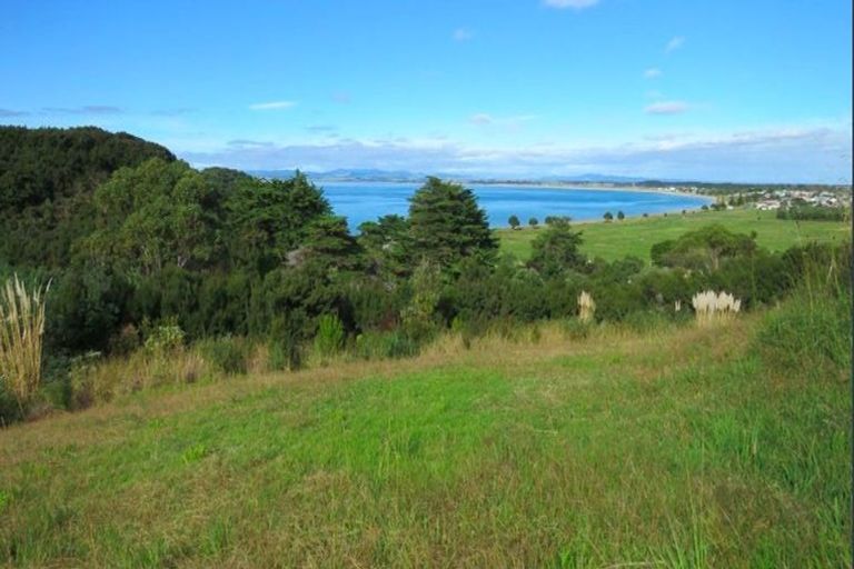 Photo of property in 12 Akeake Crescent, Karikari Peninsula, 0483