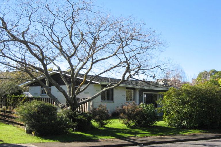 Photo of property in 12 Christie Crescent, Havelock North, 4130