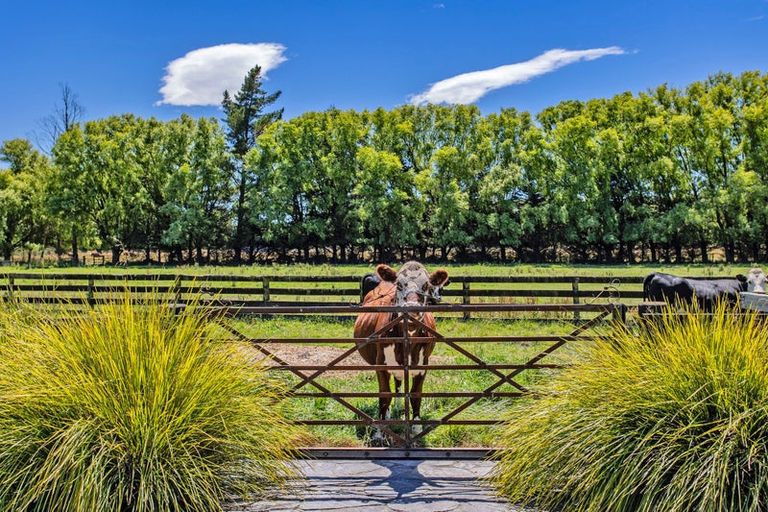 Photo of property in 78 Skewbridge Road, Flaxton, Kaiapoi, 7691