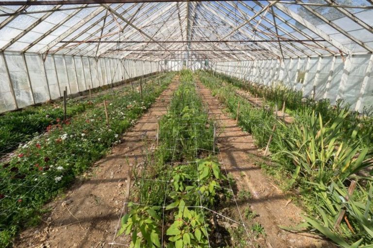 Photo of property in 94 Thews Road, Tinwald, Ashburton, 7778