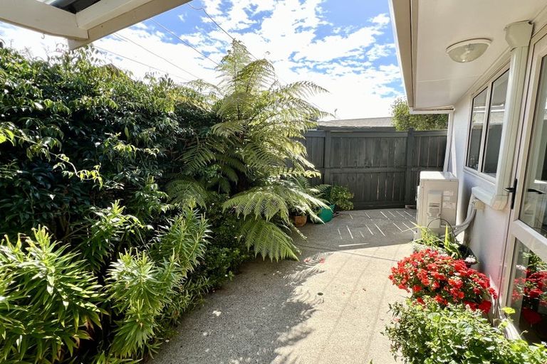 Photo of property in 1/48 Stewart Street, Whakatane, 3120
