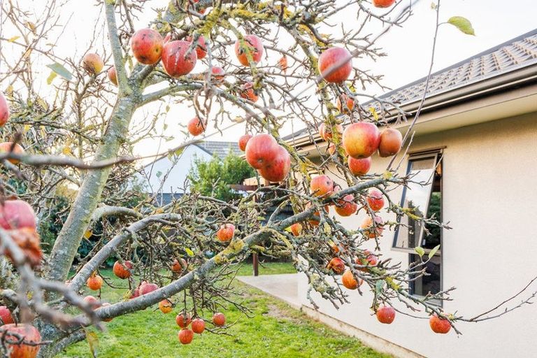 Photo of property in 75 Meridian Grove, Kelvin Grove, Palmerston North, 4414