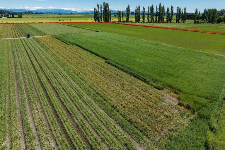 Photo of property in 75 Bealey Road, Leeston, 7683