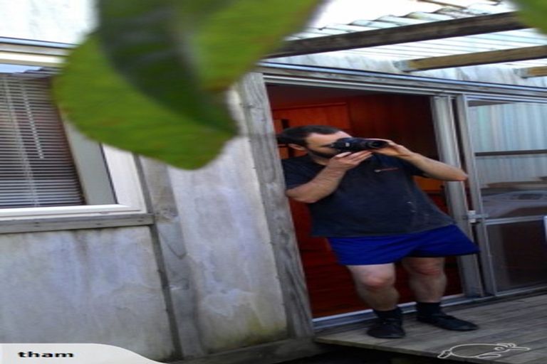 Photo of property in 94 Tannadyce Street, Strathmore Park, Wellington, 6022